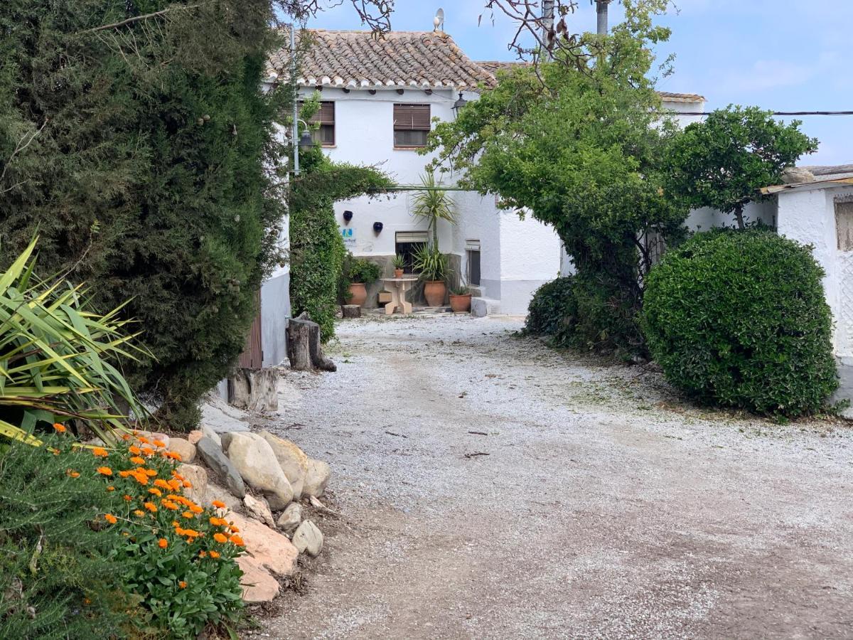 Cortijo Bustamante Guest House Baza Ngoại thất bức ảnh